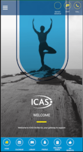 ICAS On-the-Go