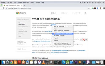 Cambridge Dictionary Lookup for Google Chrome - Extension Download