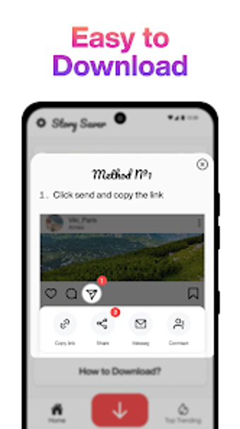 Save Story: Video InSaver