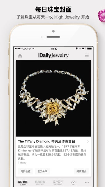 每日珠宝杂志  iDaily Jewelry