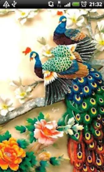 ColorFul Peacock LiveWallpaper