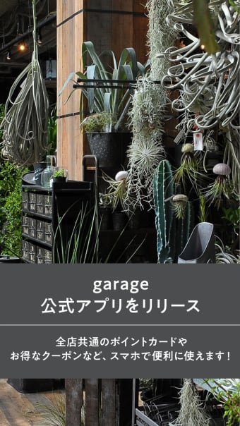 garage - living with plants