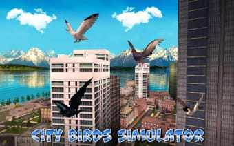 City Birds Simulator