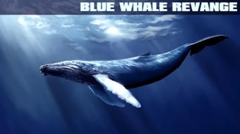 Blue Whale Revange