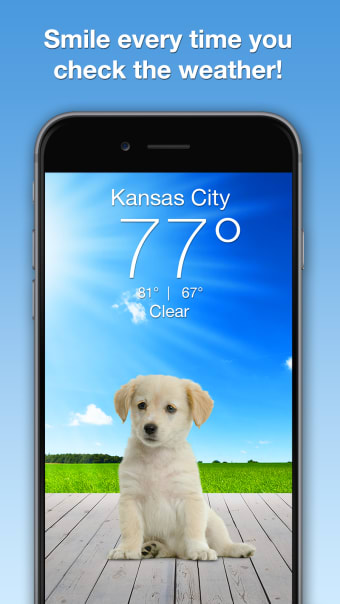 Weather Puppy - App  Widget Weather Forecast