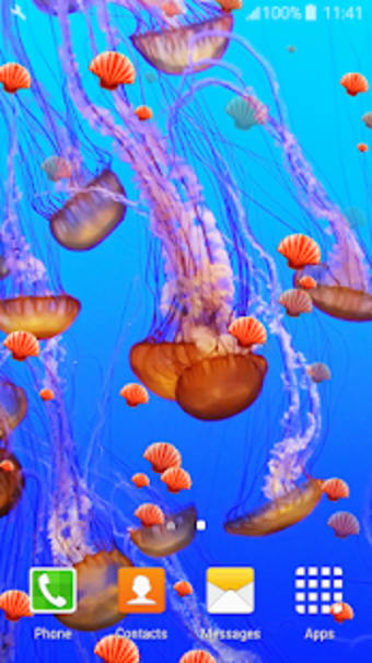 Cool Jellyfish Live Wallpapers