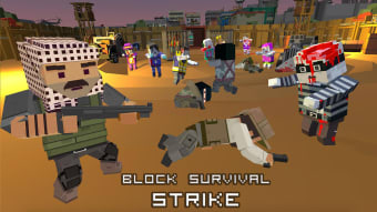 Block survival strike 3D