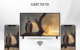 Cast To TV - Chromecast