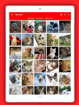 MeowApp - Cute Cat Sound App
