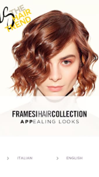Framesi Hair Collection