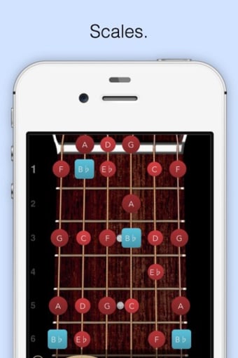 ChordBank  -  Guitar Chord App