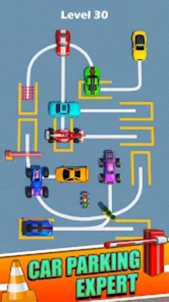 Car Parking Order: Puzzle Game