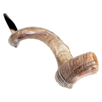 SHOFAR STORE