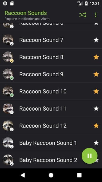 Appp.io - Raccoon sounds