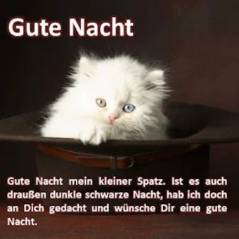 Good Night Sayings in German
