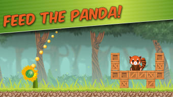 Pit the Red Panda