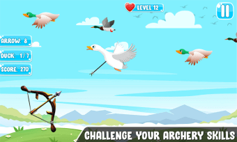 Big Archery Duck Hunter