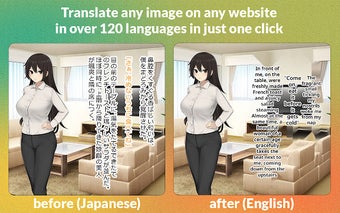 Torii Image Translator