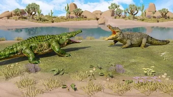 Crocodile Family: Animal Games