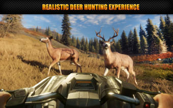 Wild Deer Shooting Animal Hunt