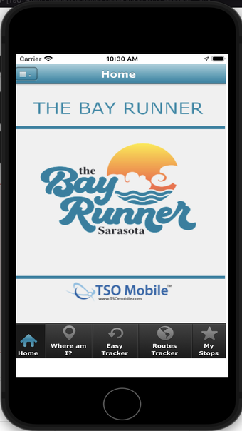 The Bay Runner