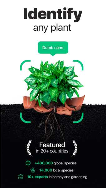 NatureID- Plant Identification