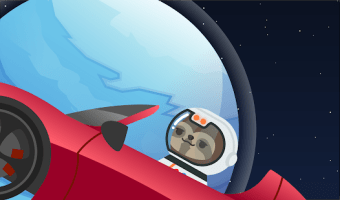Sloths Space