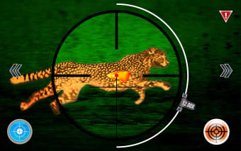 Cheetah Hunter 2016