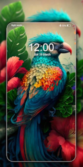 Birds Wallpapers Live in 4K
