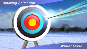 3D Target Archery Shooting