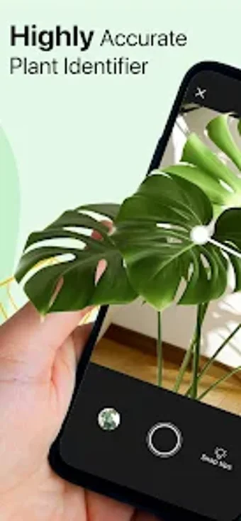 AI Plant Identifier App