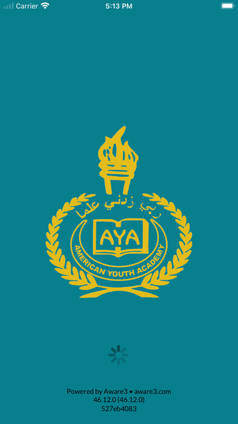 American Youth Academy