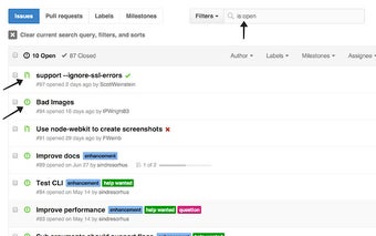 Show All GitHub Issues