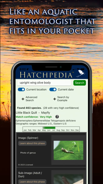 Hatchpedia
