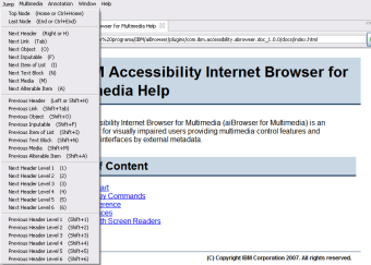 IBM Accesibility Internet Browser