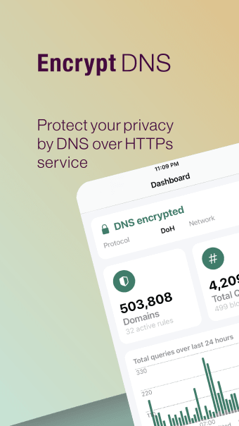 Secure DNS  Firewall