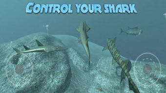 Real Shark Simulator 3D