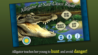 Alligator at Saw Grass Road