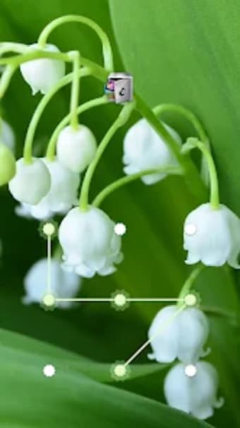 AppLock Lily of the Valley