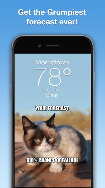 Grumpy Cats Funny Weather
