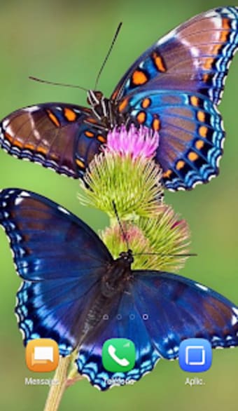 Naturaleza  Mariposas - Fondos HD