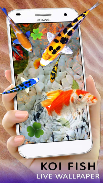 3D Koi Fish Live Wallpaper -HD Live Wallpaper 2019