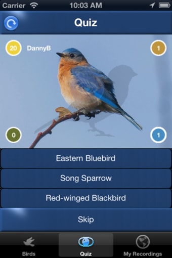 Bird Song Id Canada birdsongs