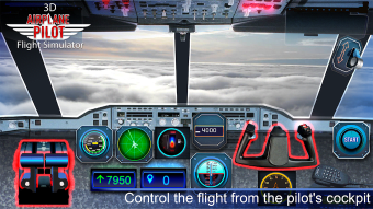 Airplane Pilot Cabin  Flight Simulator 3D