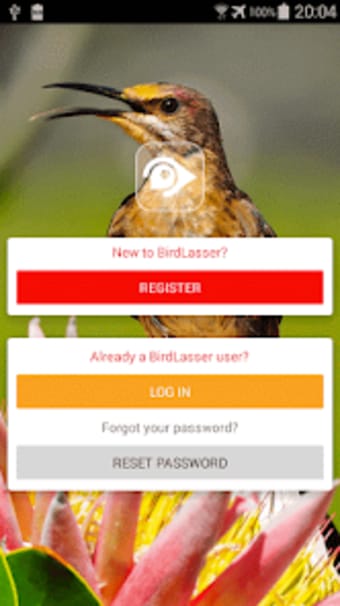 BirdLasser