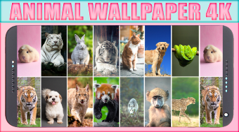 Animal Wallpaper HD