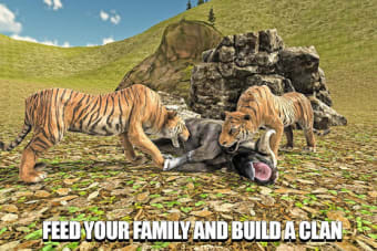Tiger Family Sim