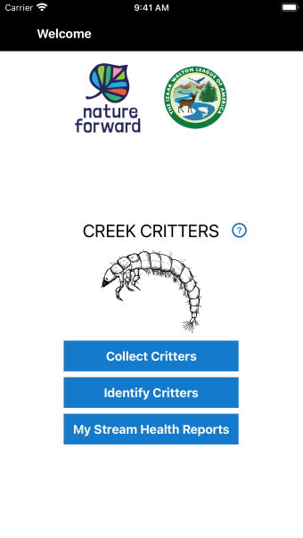 Creek Critters