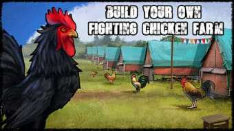 Mexican Chicken Fight