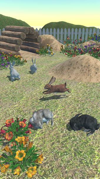 Rabbits Friends